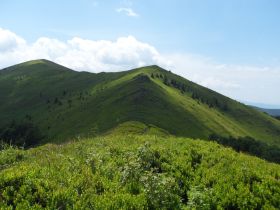 Studenti Mendelovy univerzity 2016